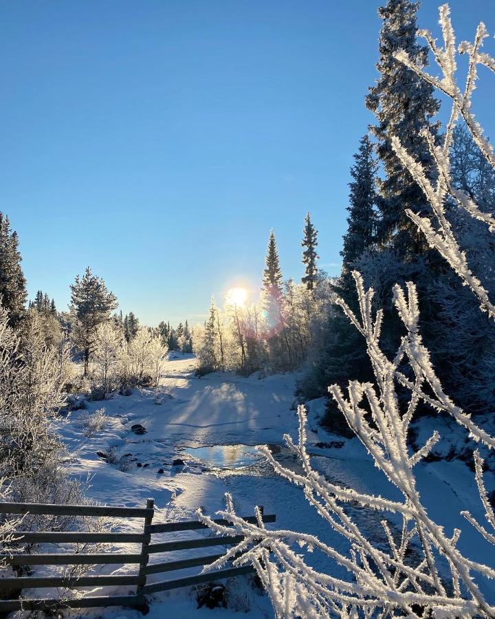 Hyggelig Leilighet I Sentrum Hemsedal Esterno foto