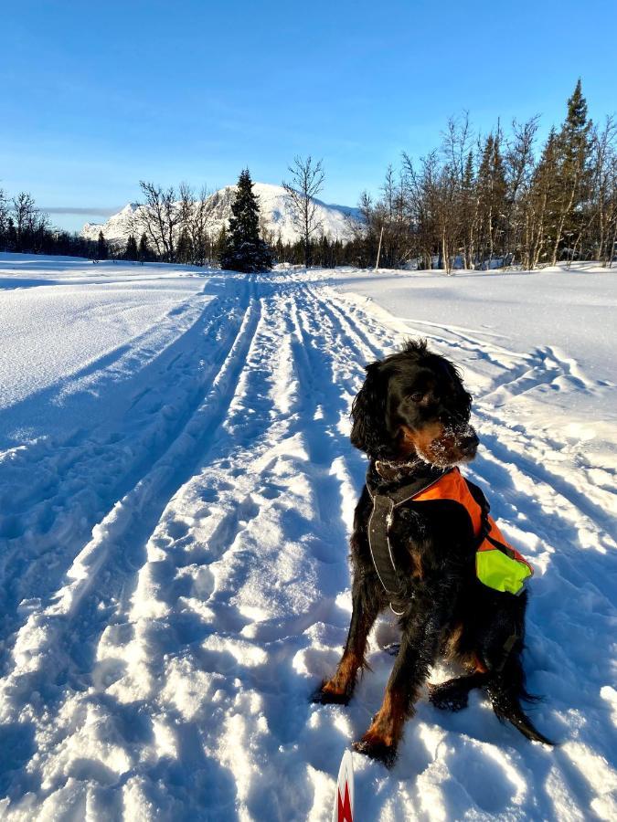 Hyggelig Leilighet I Sentrum Hemsedal Esterno foto