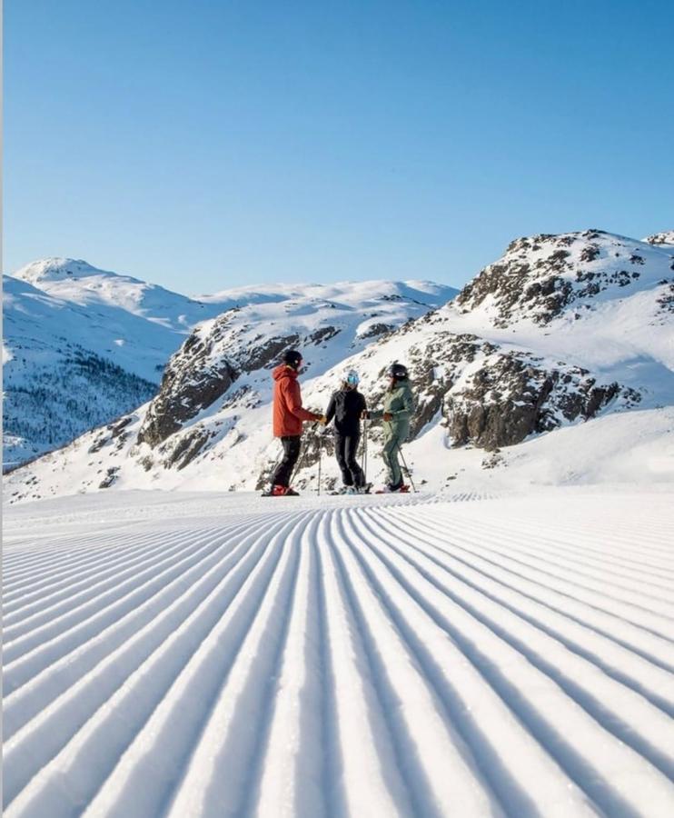 Hyggelig Leilighet I Sentrum Hemsedal Esterno foto