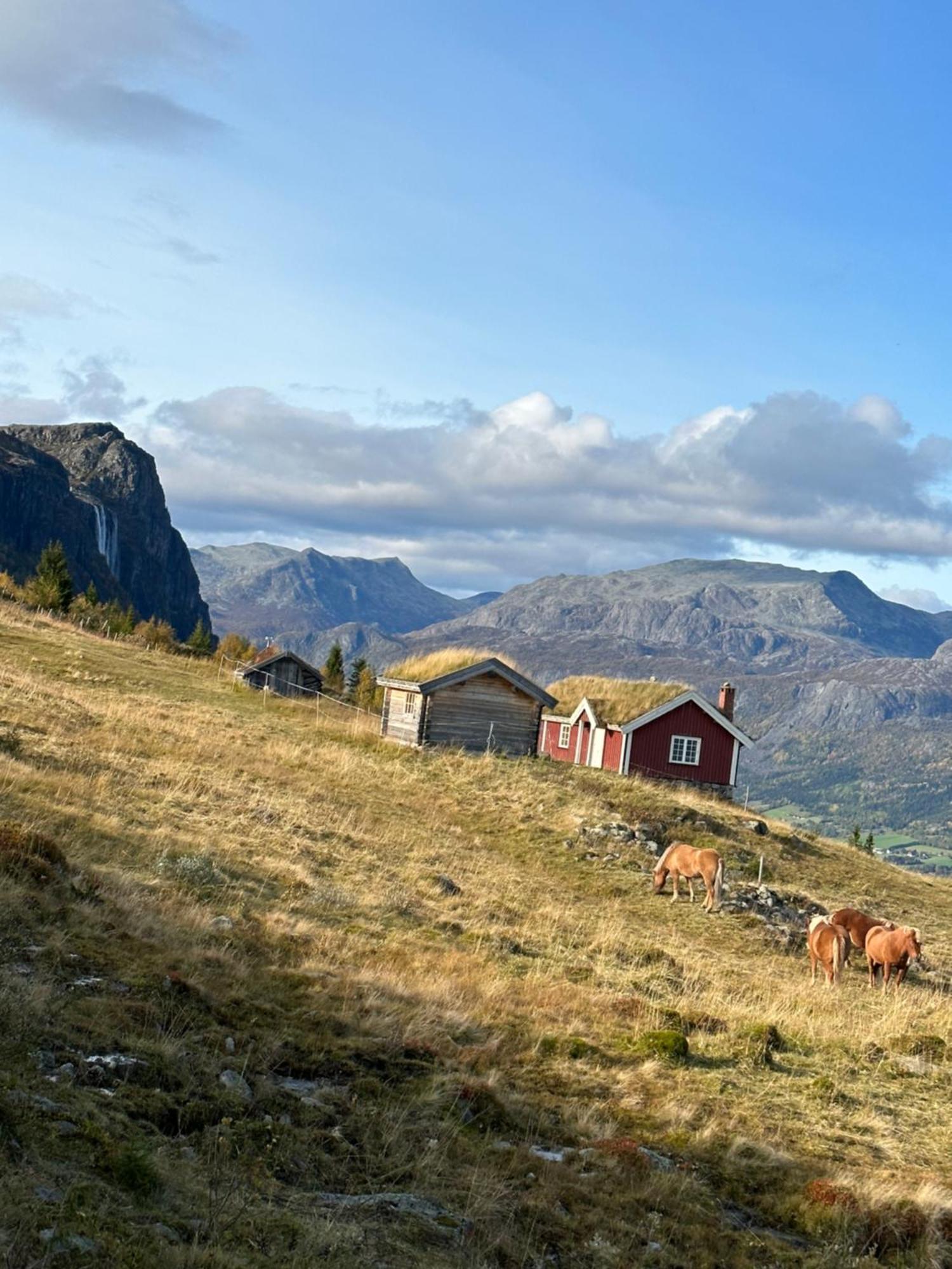 Hyggelig Leilighet I Sentrum Hemsedal Esterno foto